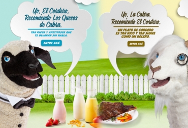 Blog informativo leche ovina.